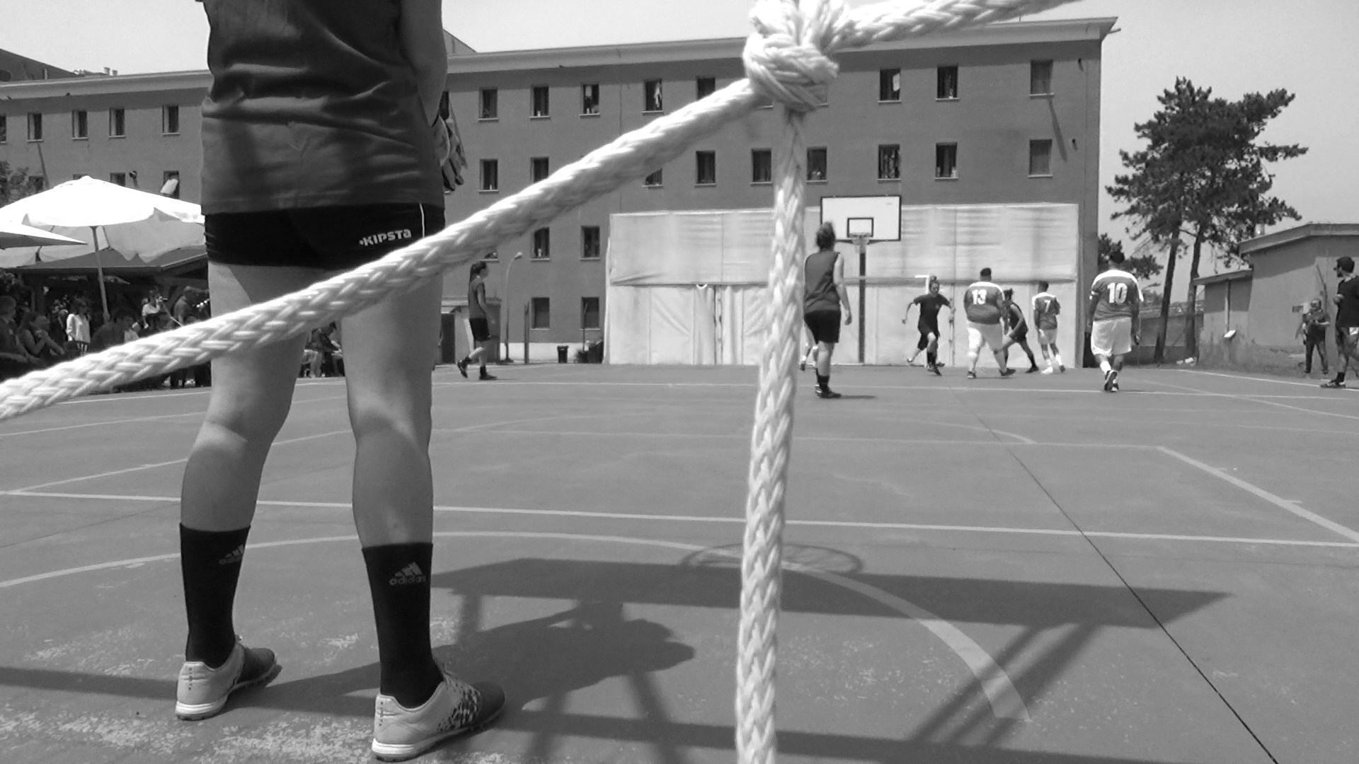 Tema sport
